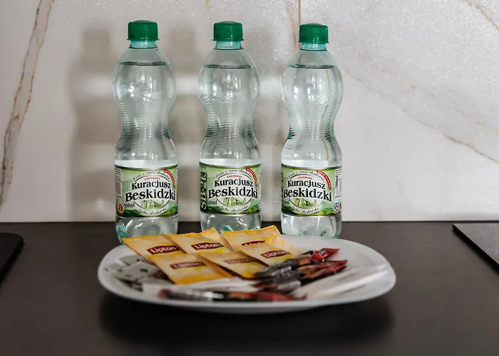 Kopcinskiego Superior Lejlighed Łódź